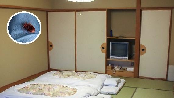 日本部分酒店及旅館出現床蝨問題，須委託除蟲公司處理。(互聯網)