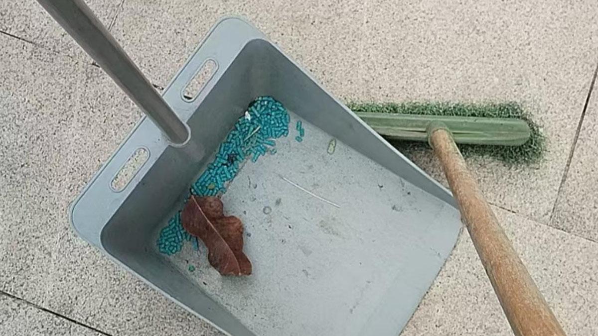 聚魚道休憩花園最近不時出現藍色老鼠藥。(《香港動物報》圖片)