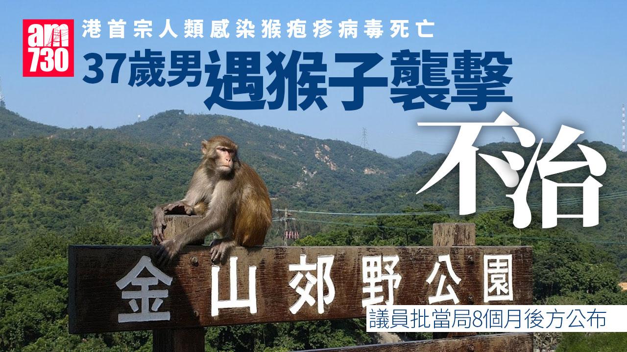 猴疱疹病毒｜37歲男遇猴子襲擊不治 議員批當局8個月後方公布不理想