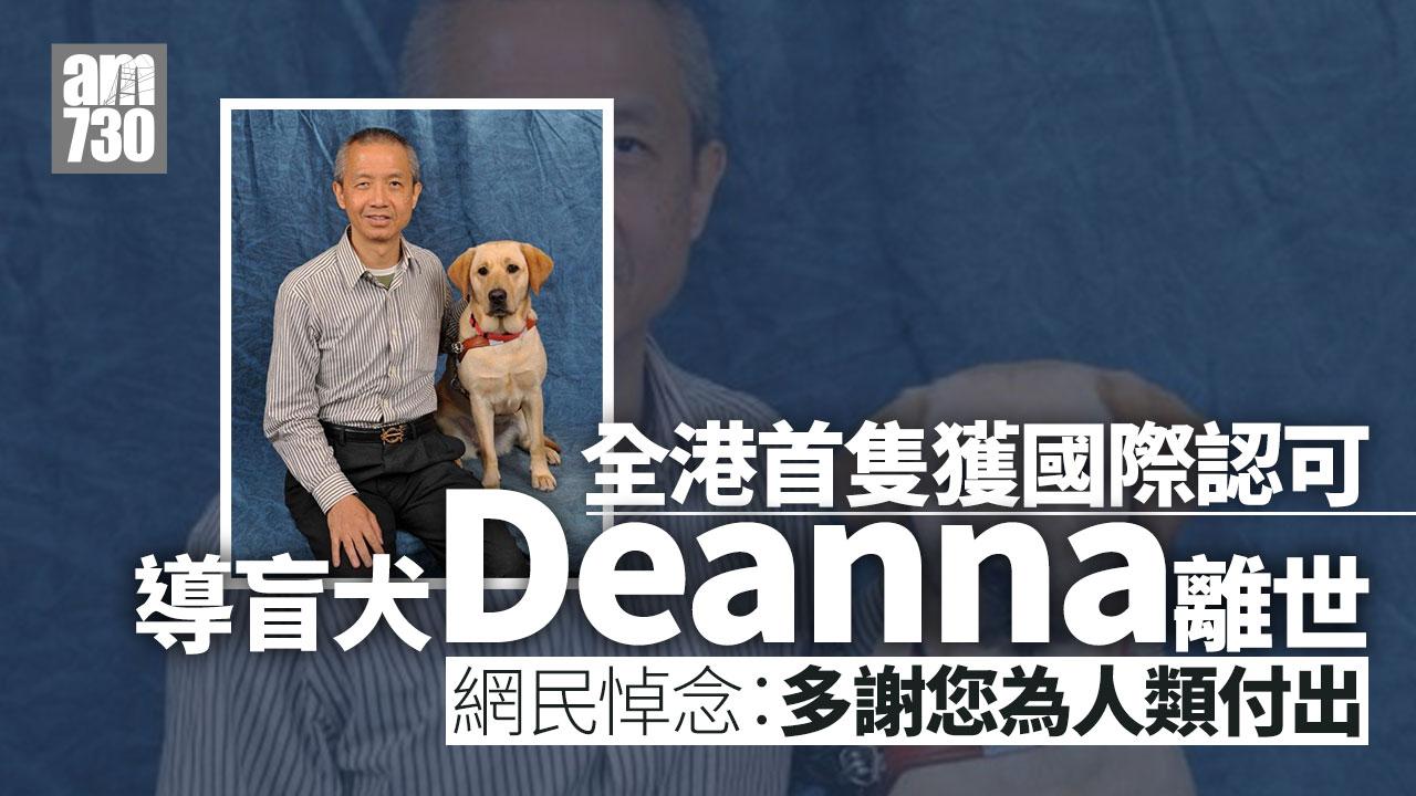 全港首隻獲國際認可導盲犬Deanna離世 「爸爸」曾建平：來世再聚