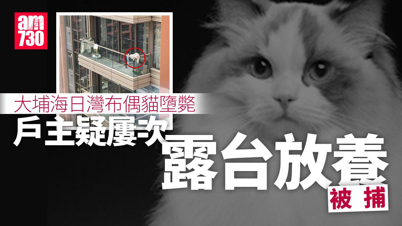 大埔海日灣布偶貓墮斃　單位戶主疑屢次露台放養被捕