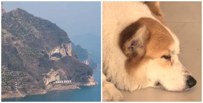 湖北宜昌有山脈外形酷似一隻小狗趴在江邊。照片令該山稱網民稱為「小狗山」和「狗仔山」，成為網紅景點，不少網民亦發布自家毛孩照片對比」。(小紅書)