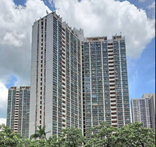 大埔富善邨善群樓 (google map 圖片)