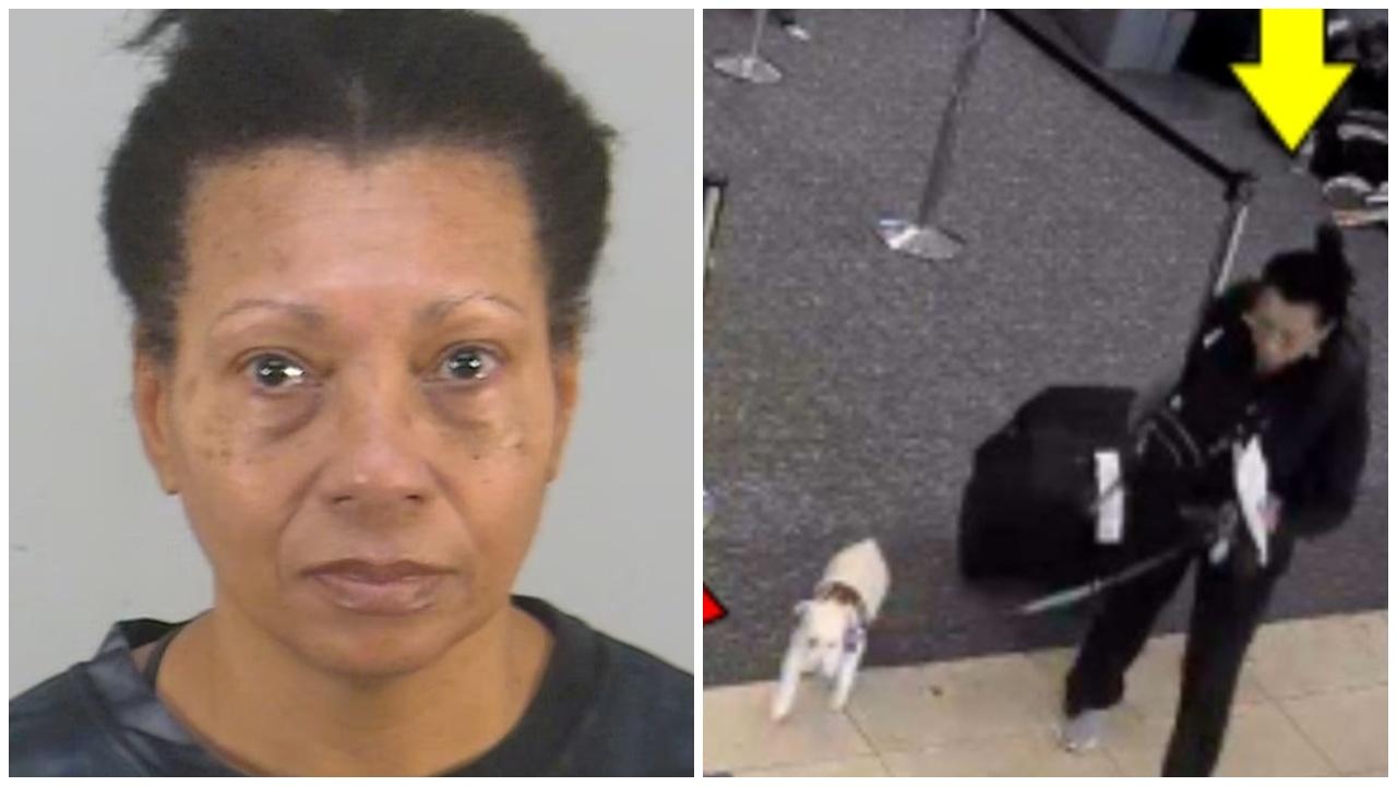 冷血婦帶狗搭機無文件，竟將寵物溺斃馬桶獨自登機。