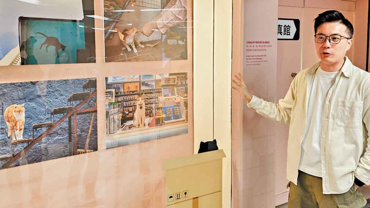 貓攝達人Jonas Chan分享心得 最緊要有耐性