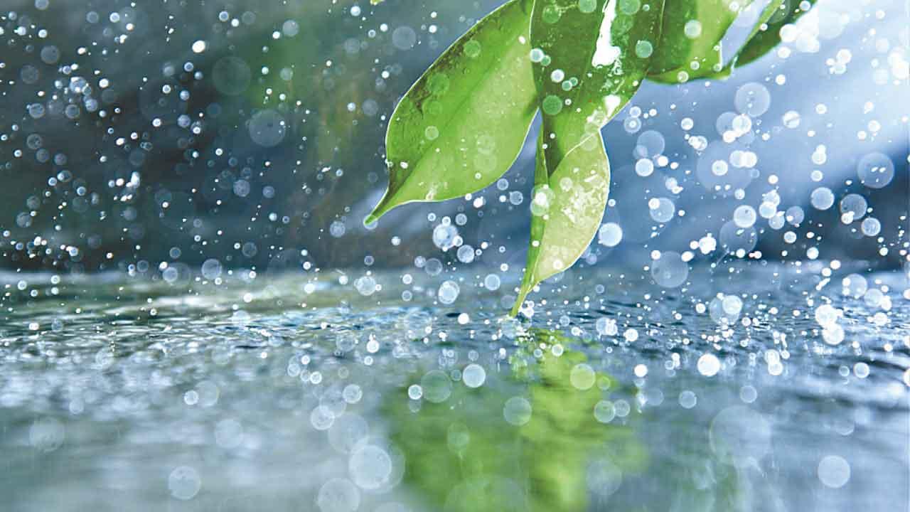 春季保健需防濕