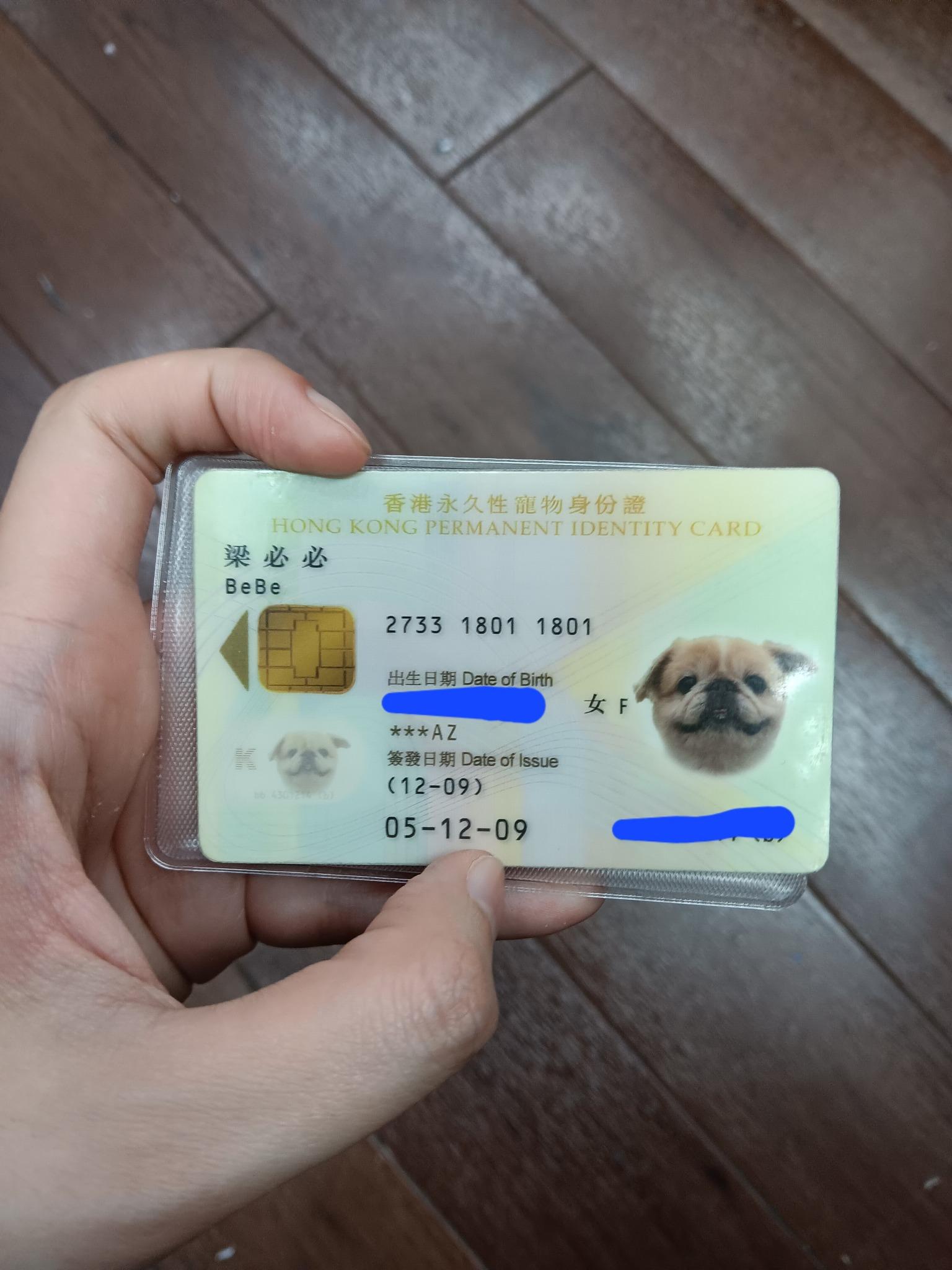 (@fb Grass Chan 圖片)