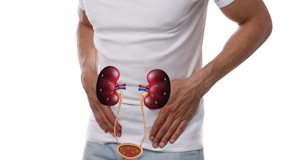 進入春天也代表過敏季節的來臨，許多人開始出現鼻炎、哮喘等呼吸道過敏症狀，泌尿科診所高銘鴻醫生指出，泌尿道也會因過敏反應而引起發炎、頻尿或尿急等問題。