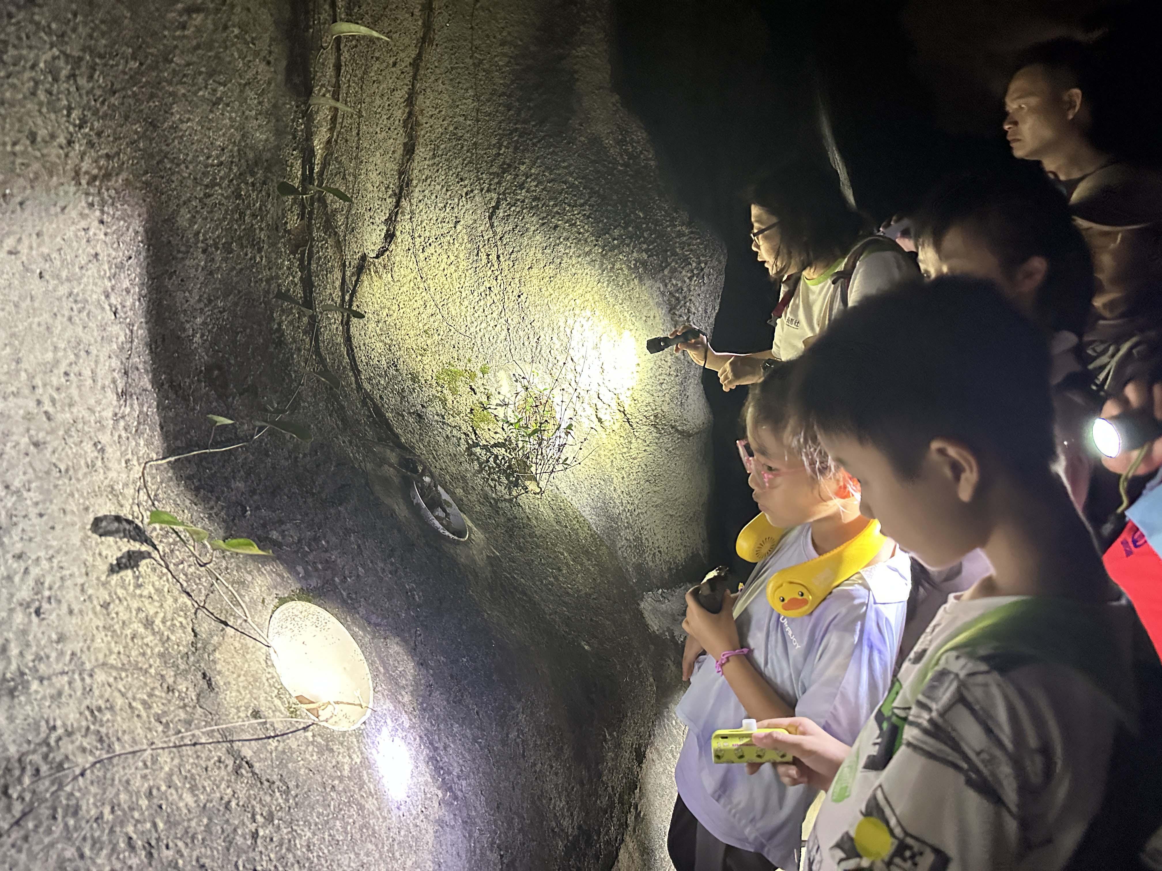 今年「綠遊香港」會繼續帶領市民到南丫島和大潭郊野公園，探索夜間生態。