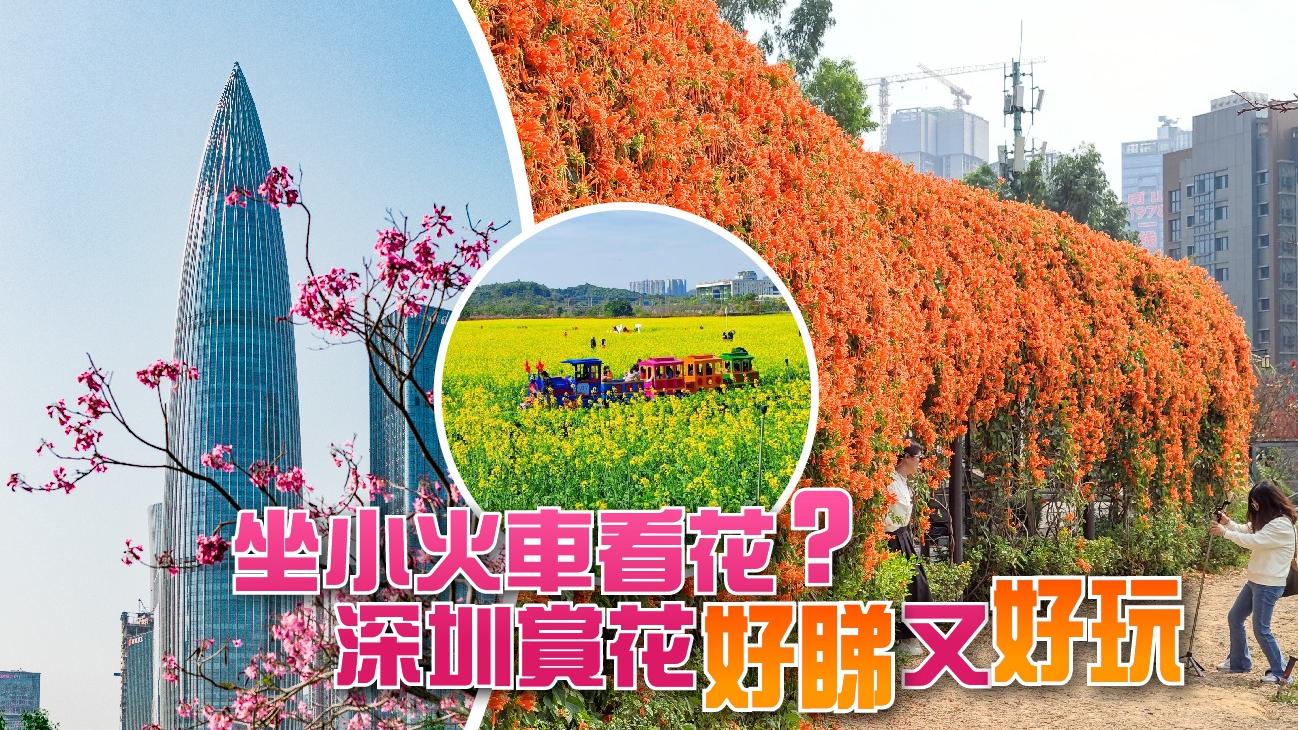 坐小火車看花？　深圳賞花好睇又好玩