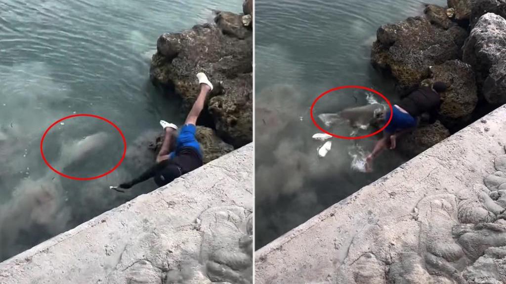 美國男着Crocs洞洞鞋釣魚跣落海　險成鯊魚大餐（有片）