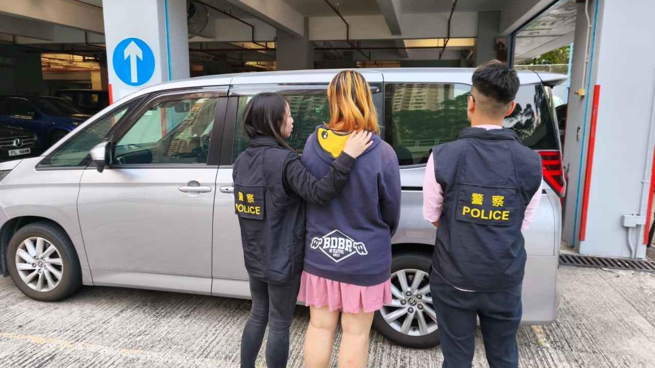 涉誤導警員女子被捕。（警方提供）