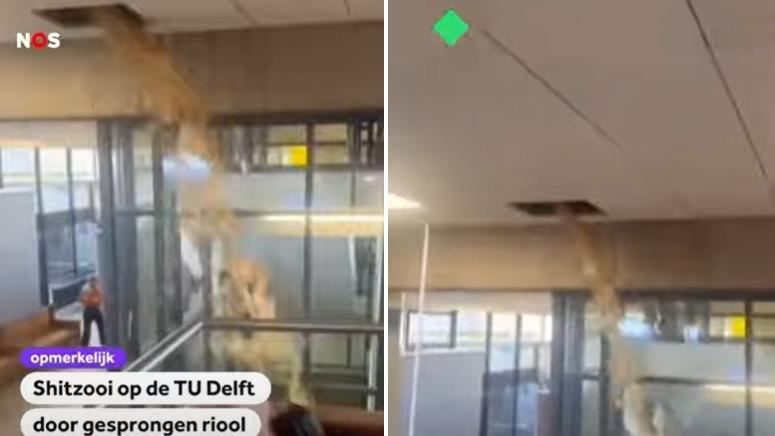 糞水瀑布猛瀉，十分嘔心。(互聯網)