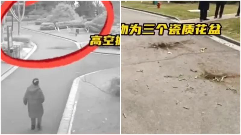 四川女與男友爭吵連擲三花盆落街洩憤　判緩刑罰款二千