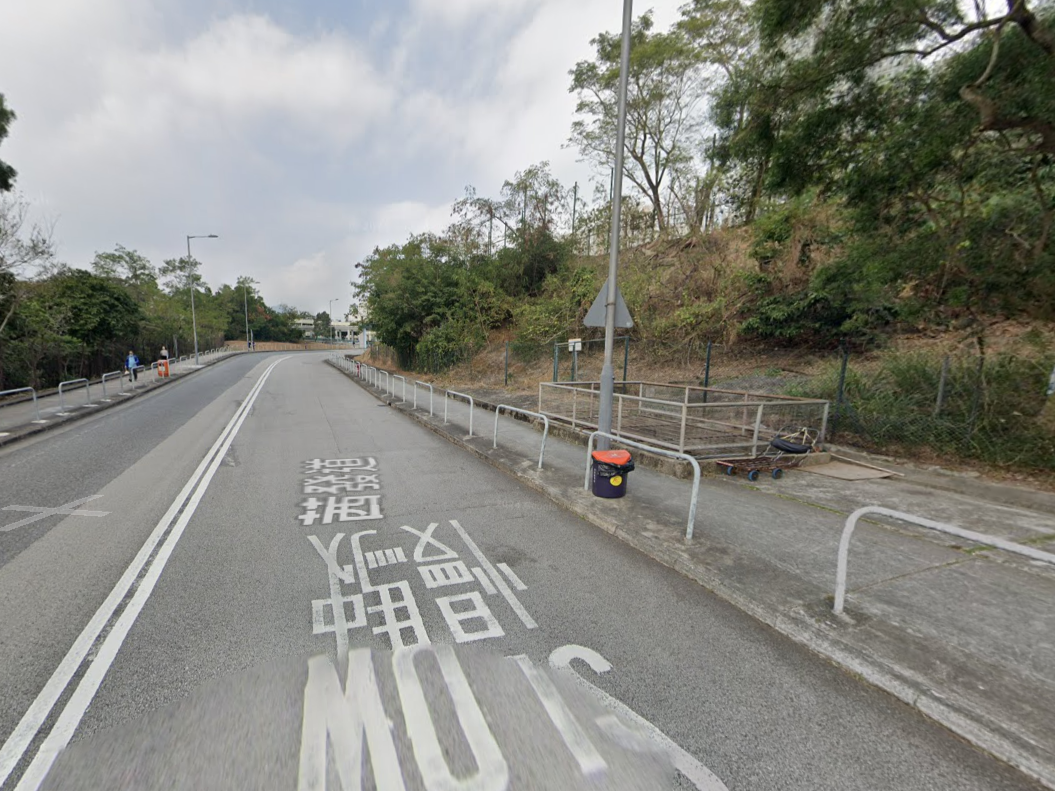 藍田疑有狗隻被困引水道，消防設法營救。(Google街景截圖)