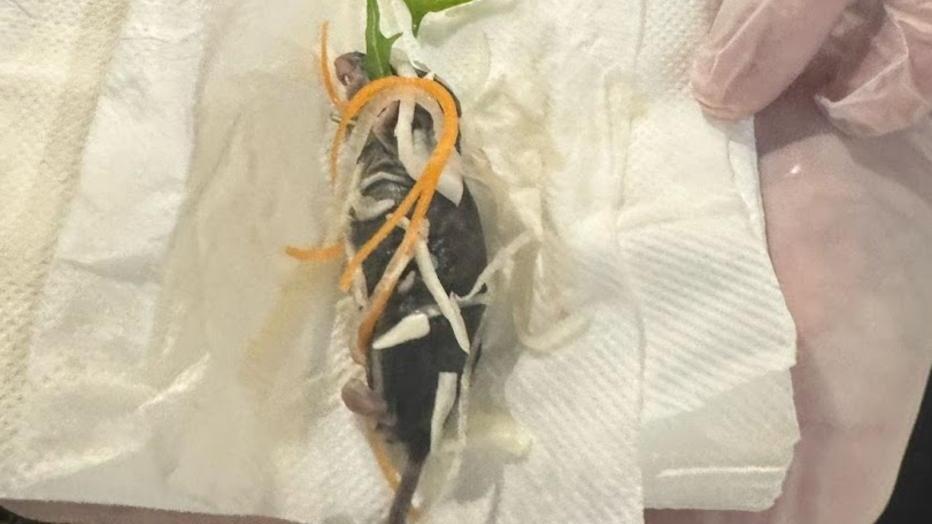 孕婦食沙律食到成隻死老鼠，不滿餐廳冷處理公開網上。(X)