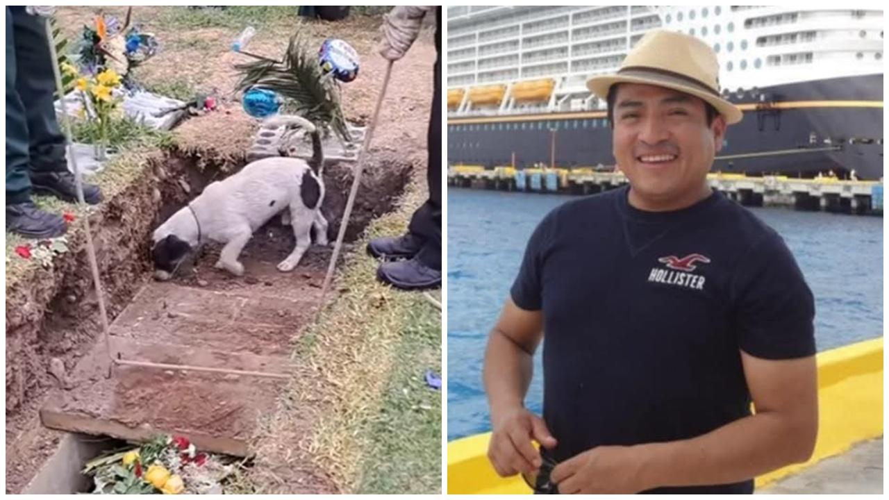 主人離世狗狗參加葬禮狂挖泥不肯走，令26萬網民心疼。(FB)