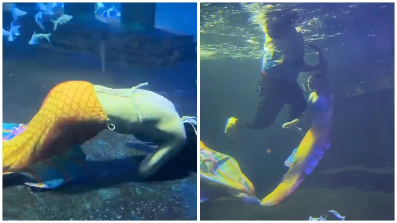 山西美人魚抽搐沉水底，遊客以為表演環節。(微博)