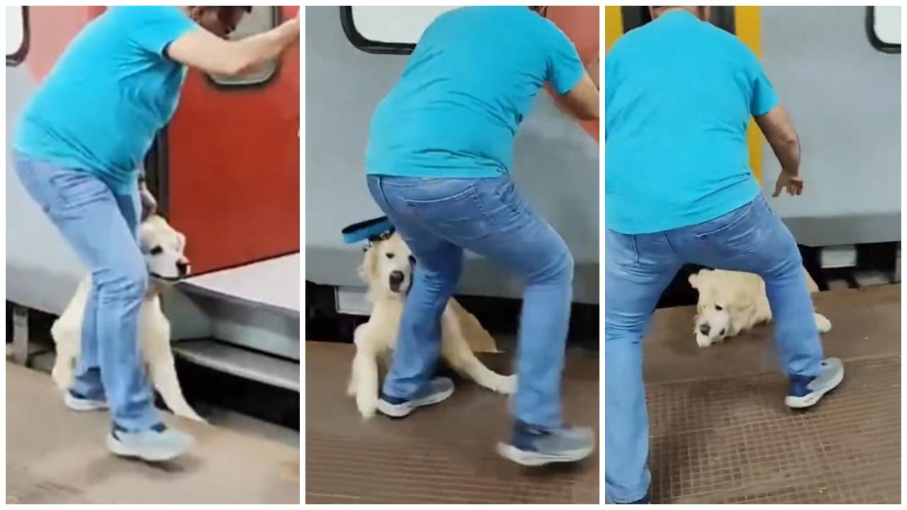 莽夫強拉金毛犬上移動中火車，害狗狗墮軌險被輾死。(X)