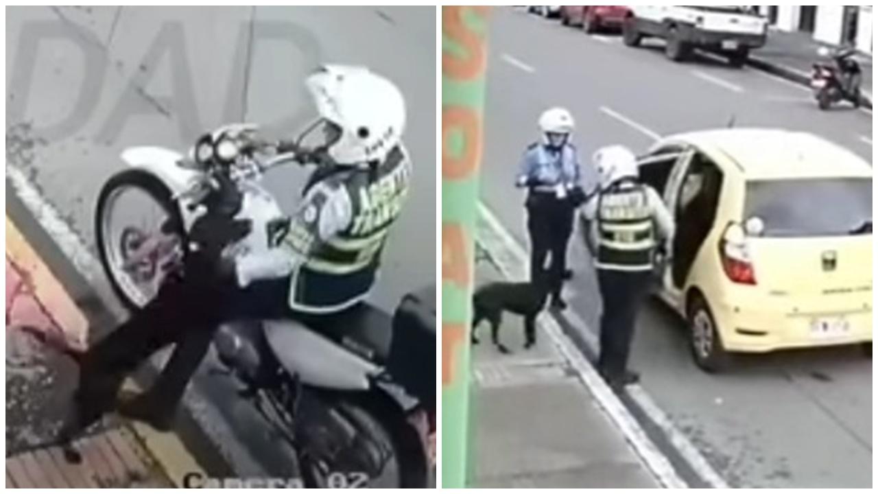 狗狗遭遺棄向警察求助，女警霸氣截的士載回自己家。(YouTube)