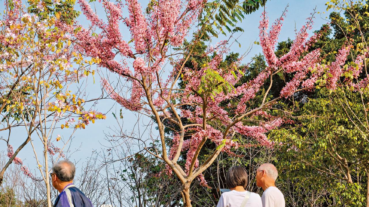 冷鋒周六橫過廣東 狂風驟雨雷暴或夾冰雹