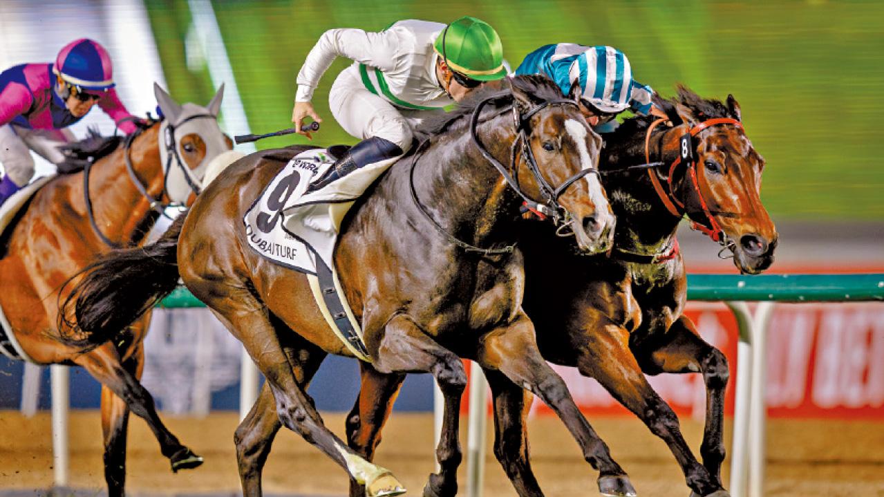 出戰杜拜草地大賽 浪漫勇士輸馬鼻位 屈居亞軍