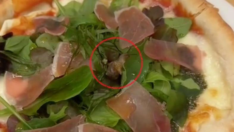日本一名男子叫的薄餅中混入了一隻蝸牛。(網上圖片)