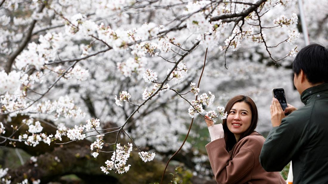 日本百口咳疫情加劇 一周錄逾1200例 東京幼嬰死亡
