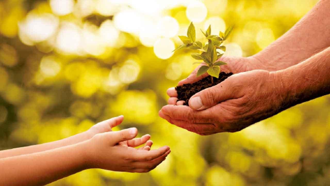 待人如自己的子女