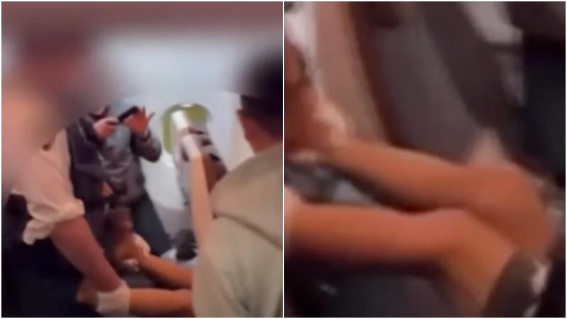 星宇航班乘客鬧事咬空服員　遭日本航警登機抬走