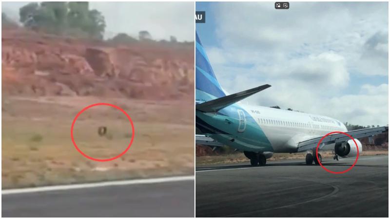 印尼航班着陸真「甩轆」　乘客目擊輪胎彈走（有片）