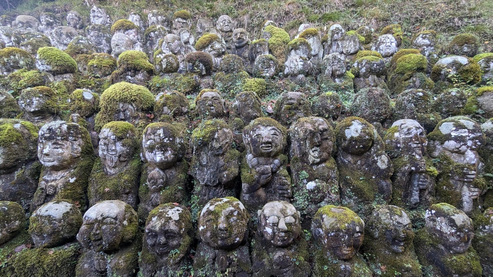 京都的愛宕念佛寺擺放千多具石製佛像。(X)