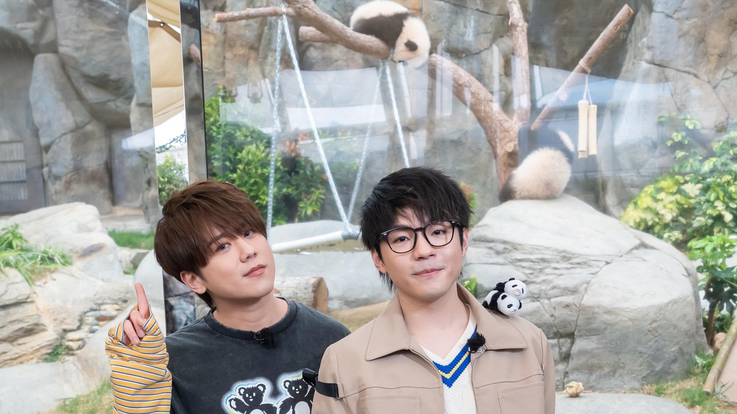 姜濤及陳卓賢兩位星級「契爸」出席大熊貓活動