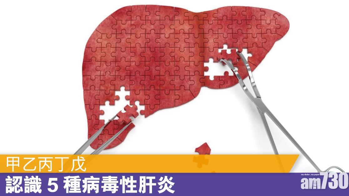 肝炎種類｜甲乙丙丁戊邊種最常見？分急性和慢性（am730製圖）