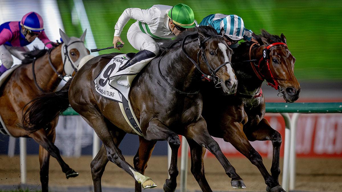 「浪漫勇士」(右)在杜拜草地大賽以馬鼻之差，不敵日本賽駒「神志勇進」屈居亞軍。(馬會提供)