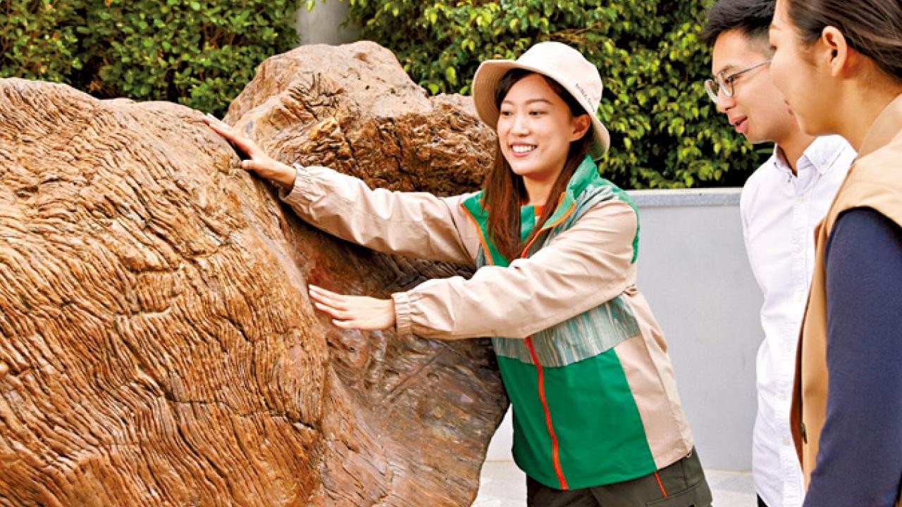 傑出綠色應用大獎─綠色項目(如心園)｜如心園木化石公園 適合所有人的共享空間