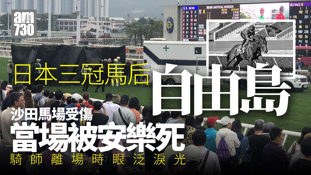 日本三冠馬后「自由島」戰死沙田馬場 騎師泛淚吻別
