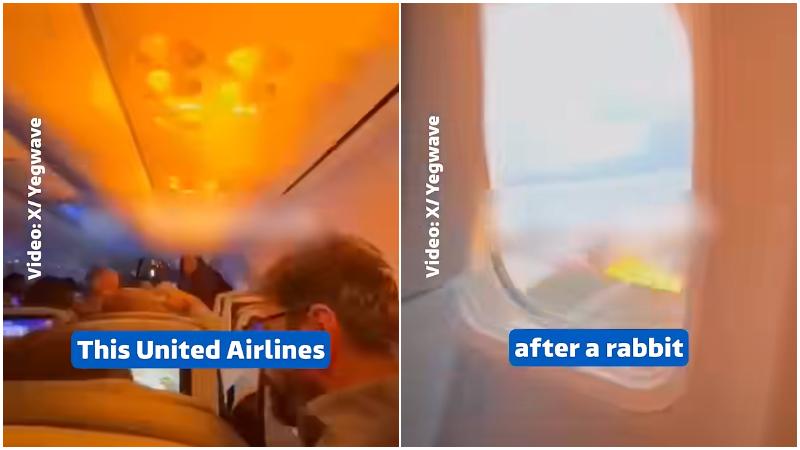 聯航客機引擎離奇捲入兔子起火　乘客恐慌寫遺言（有片）