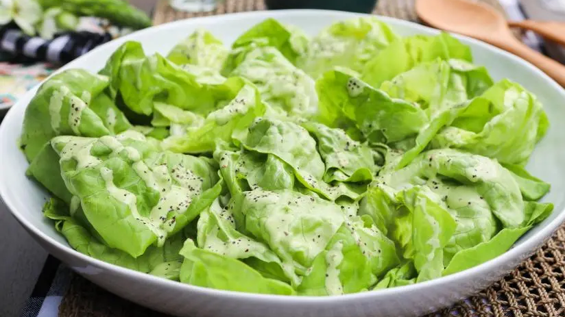 沙律都會致癌？研究：一種大腸桿菌恐 與腸癌年輕患者急增有關