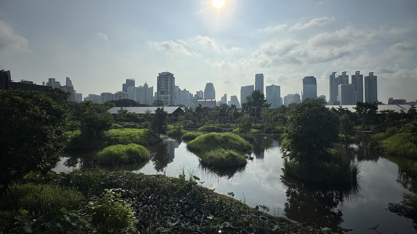 -Benchakitti 公園的自然綠化