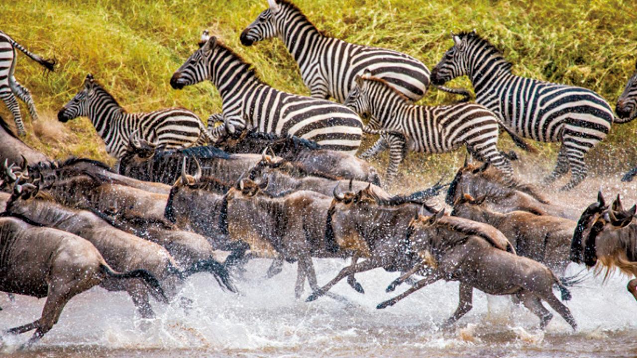 放眼世界 大航全球