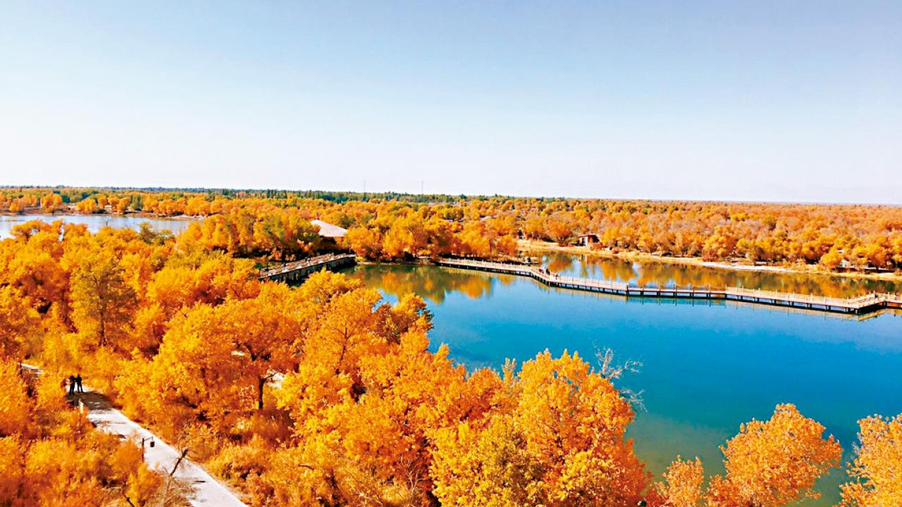 探尋南疆金秋秘境 從烏魯木齊到喀什獨特之旅