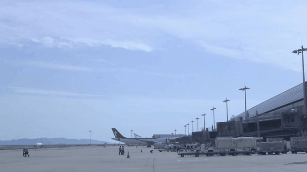 大阪關西機場。(網上圖片)
