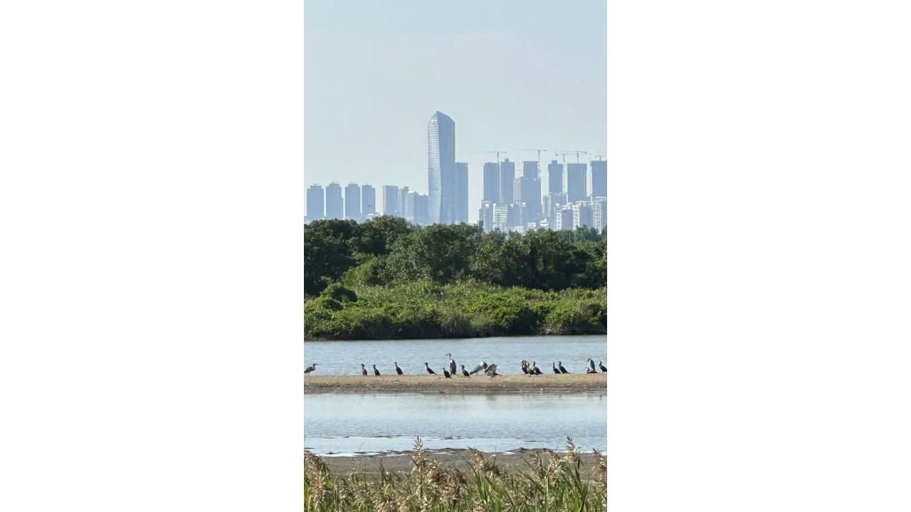 關注新界地區基礎設施配套的升級治理