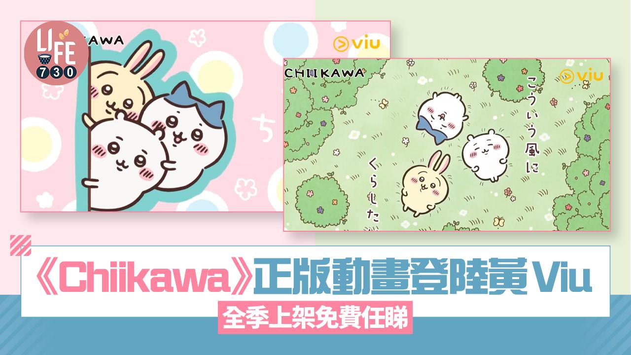 《Chiikawa》正版動畫登陸黃Viu 免費任睇！全季上架/首個香港官方平台引進