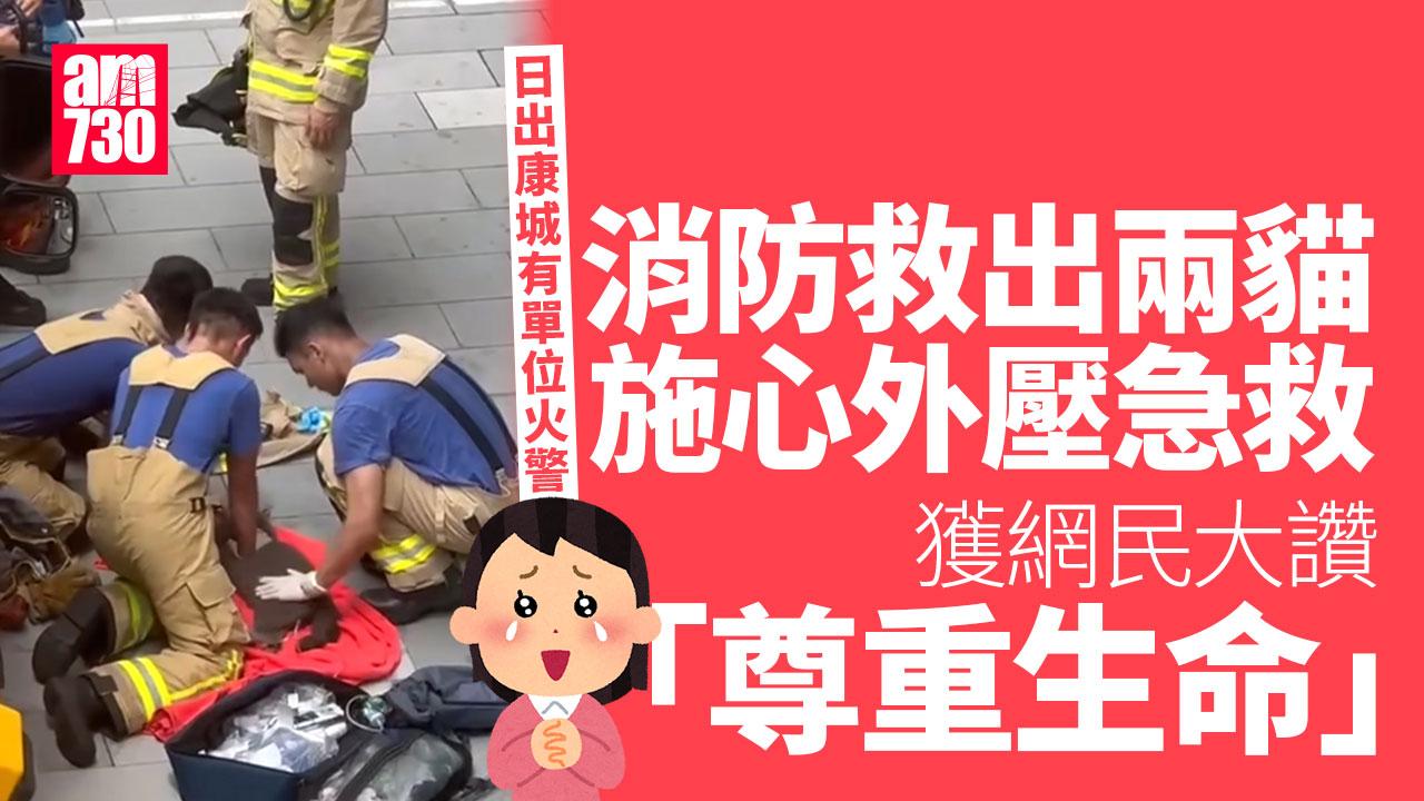將軍澳兩貓吸濃煙 消防員施心外壓急救 網民：香港是個溫暖的城市