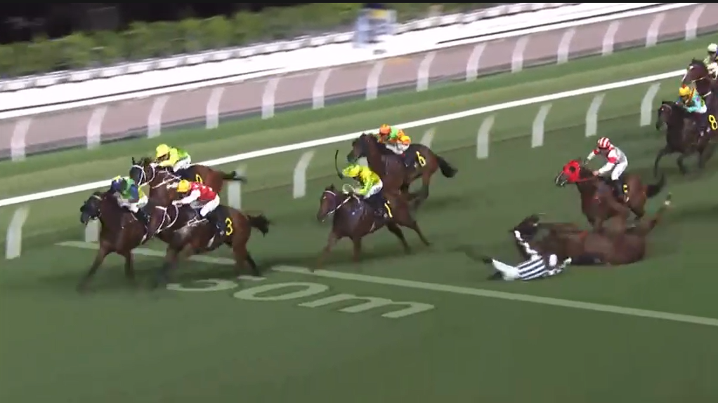 第5場賽事中3名騎師墮馬。(馬會影片截圖)