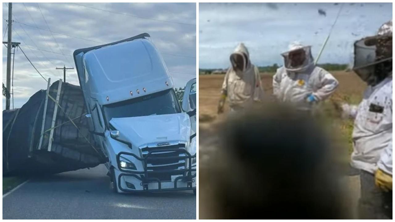 運蜂車翻側1400萬隻蜜蜂漫天飛舞，逾20養蜂人奉命找回蜂后。(YouTube)