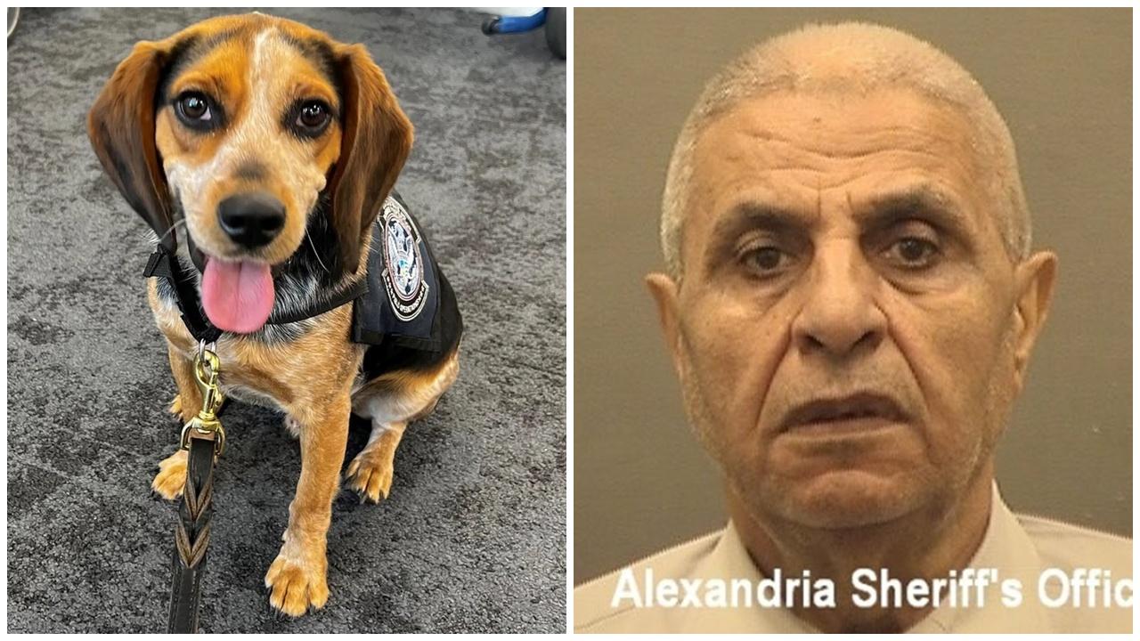 行李被搜出45公斤違禁品，惡旅客竟踢飛盡責檢疫犬。(X)