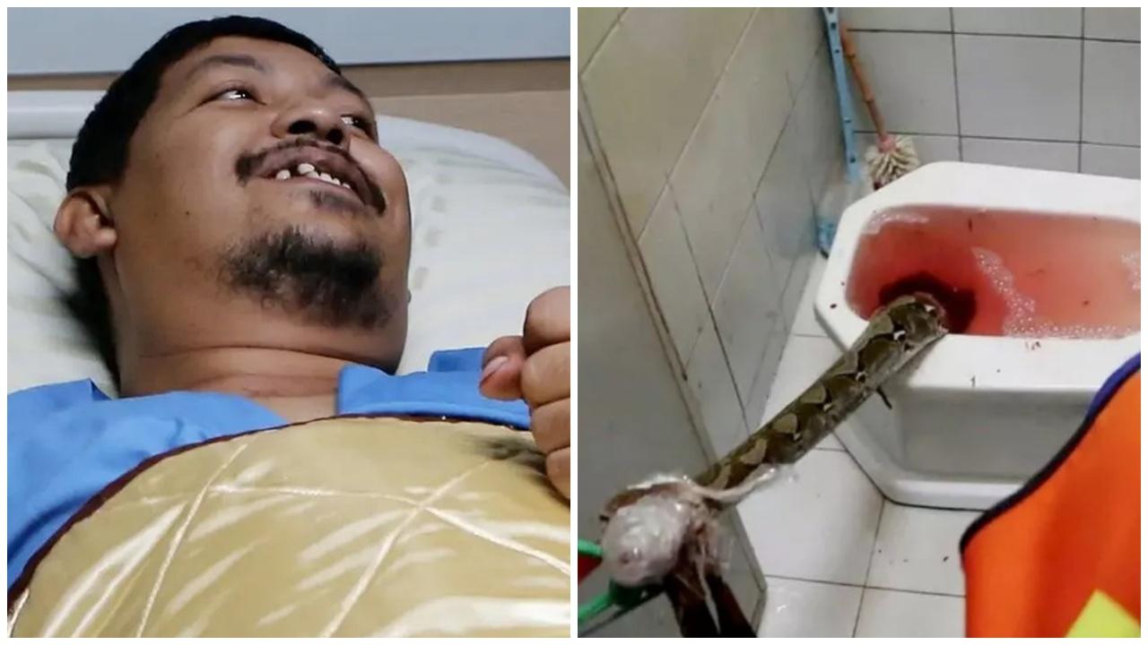 踎馬桶遭巨蟒狠咬下體，男子浴血掙扎當場暈倒。(X)